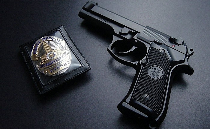 VIP PRIVATE EXECUTIVE ARMED SECURITY  SOLUTIONS